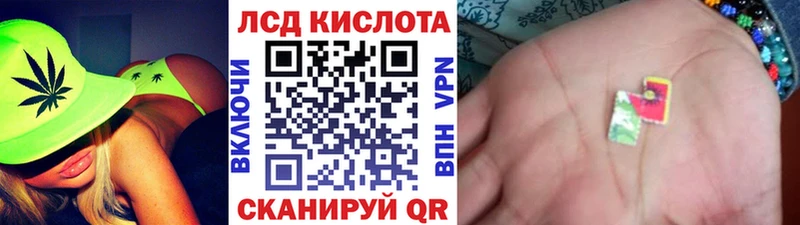 Марки N-bome 1500мкг  darknet как зайти  Шарыпово  hydra ссылки 