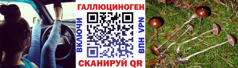 Псилоцибиновые грибы мицелий  MEGA маркетплейс  Шарыпово  купить наркоту 