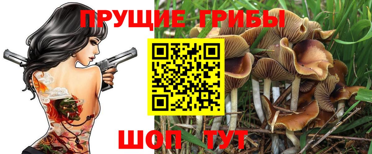 Шарыпово  Псилоцибиновые грибы ЛСД  Вход с VPN 