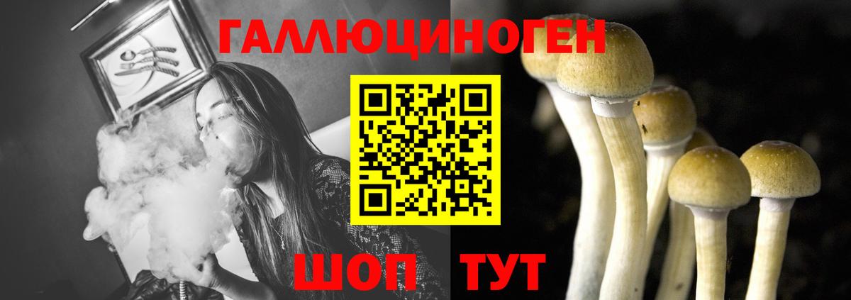 Галлюциногенные грибы Cubensis  Шарыпово 